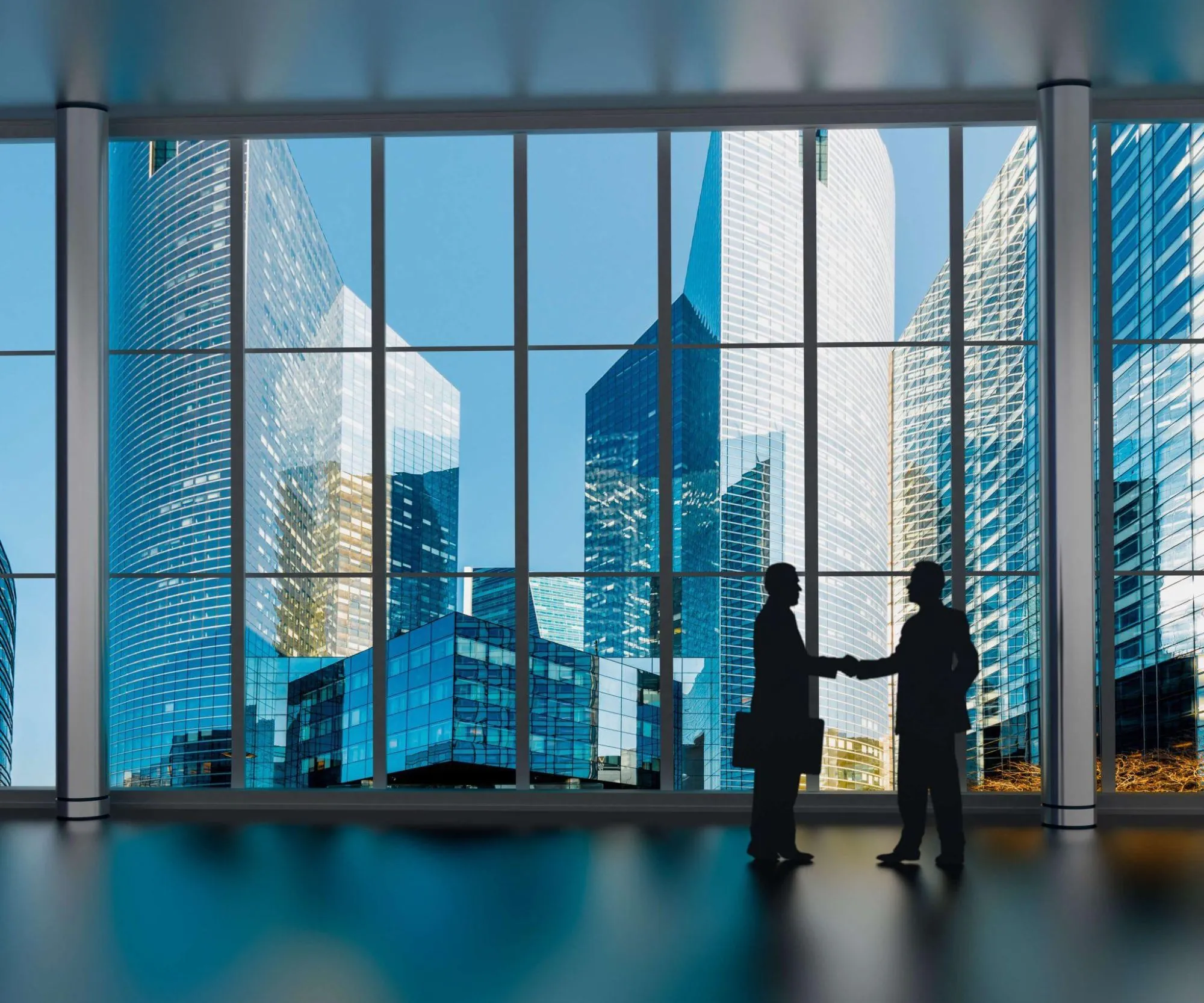 Investment in Commercial Enterprises