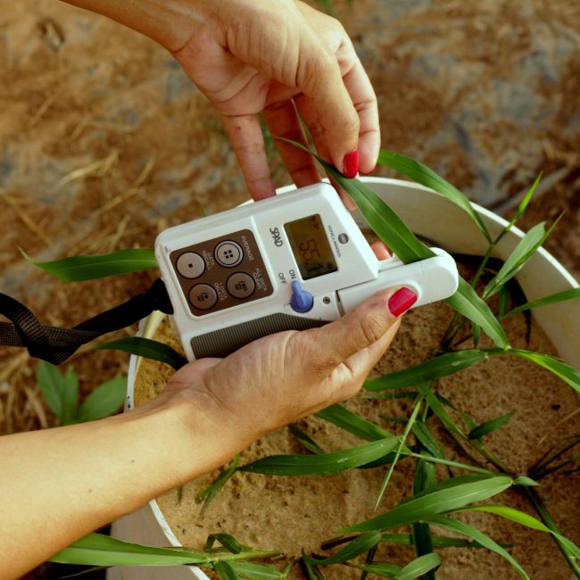 Strategic Agricultural Assessment - Investment in Agricultural Enterprises