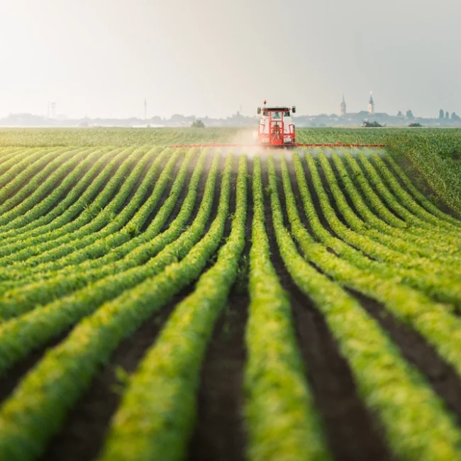 Operational & Business Growth Support - Investment in Agricultural Enterprises